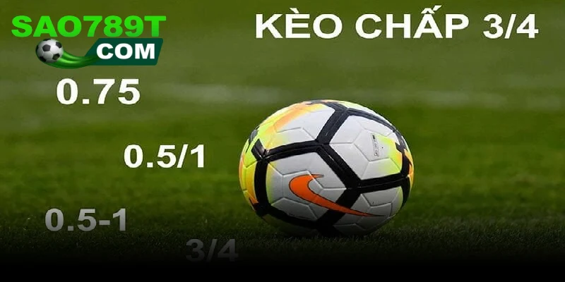 So sánh kèo châu Á vs châu Âu, kèo tỷ lệ chấp phù hợp bet thủ kinh nghiệm So sánh kèo châu Á vs châu Âu, kèo tỷ lệ chấp phù hợp bet thủ kinh nghiệm